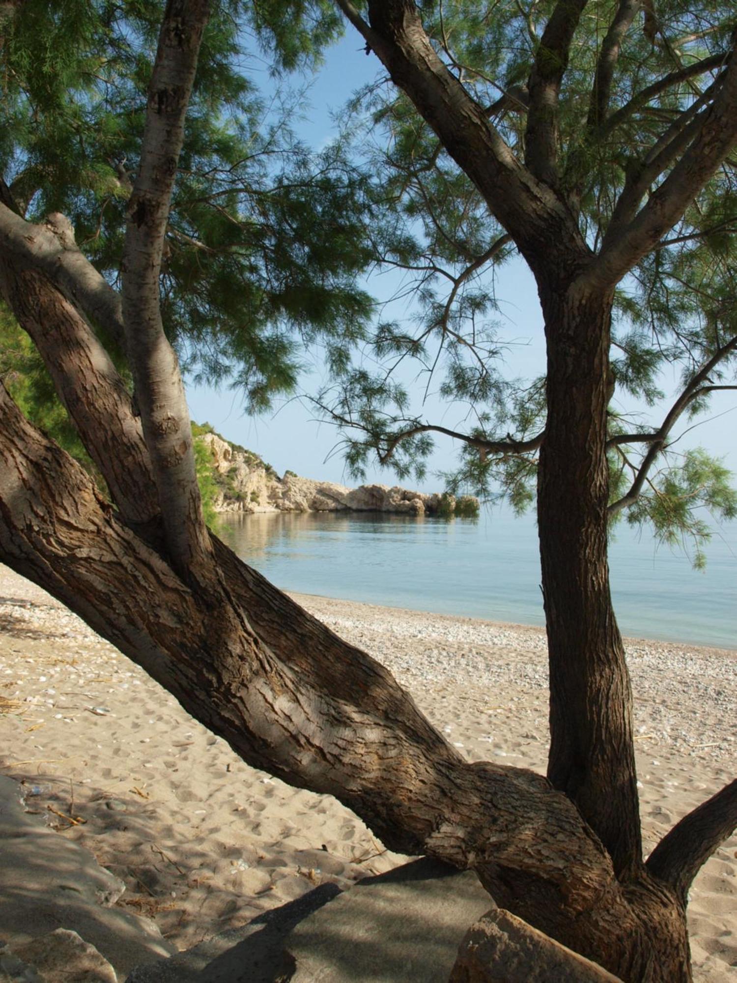 Pallos Holiday home *